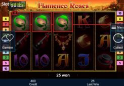 flamenco-roses-win