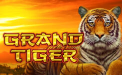 Grand Tiger