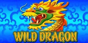 wild dragon logo