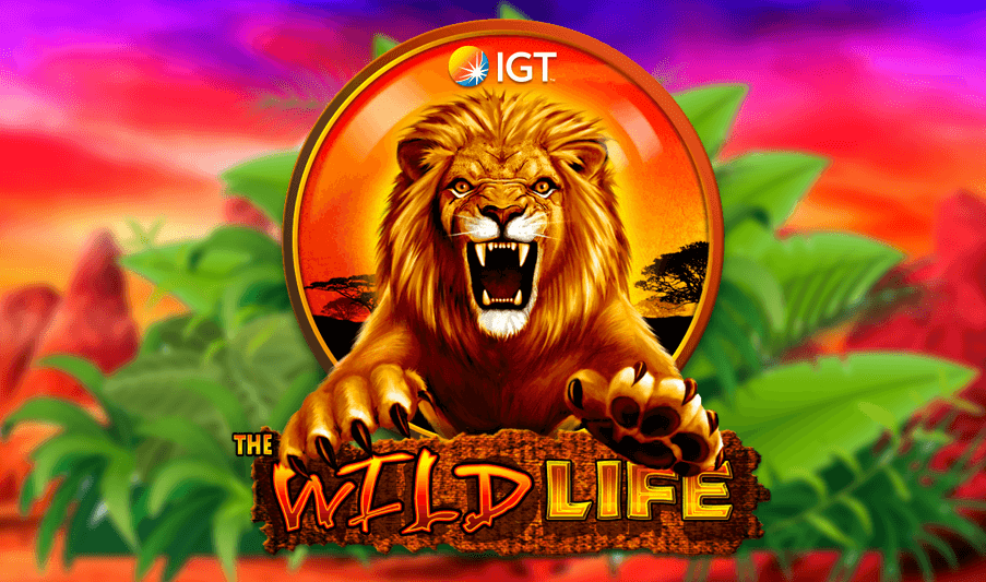 Wild Life Slot Game Review Logo