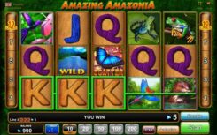Amazing Amazonia Slot Game WIld