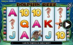 Dolphin Reef Slot Game