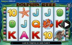 Dolphin Reef Slot Game Won