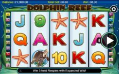 Dolphin Reef Slot Reels