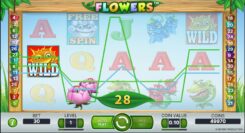 Flowers Slot Game Win