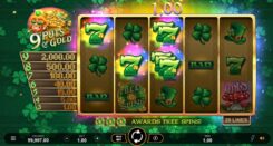 9 Pots of Gold Slot Game Win