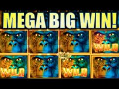 Gorilla Chief Slot Game Mega Big Win
