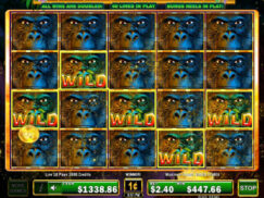 Gorilla Chief Slot Game Wild Big Win