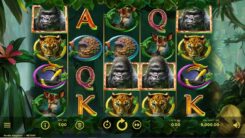 Gorilla Kingdom Slot Reels