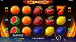 Hot To Burn Game Slot Reels