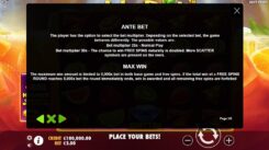 Juicy Fruits Slot Ante Bet feature