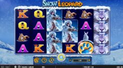 Snow Leopard Slot Game Reels
