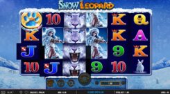 Snow Leopard Slot Game Win