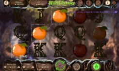 Wild Cherries Slot Game