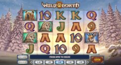 Wild Nortrh Slot Reels