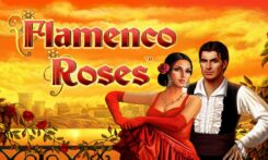 Flamenco Roses