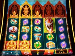 Golden Jungle Slot Game Review Reels