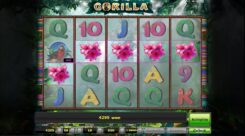 Gorilla Slot Win WIn