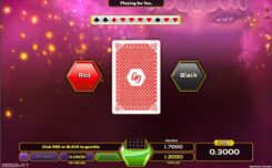 Lady Luck Slot Gamble