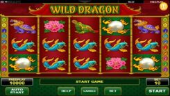 Wild Dragon Slot Game Review First Screen