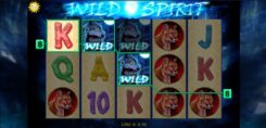 Wild Spirit Win Wild Symbol