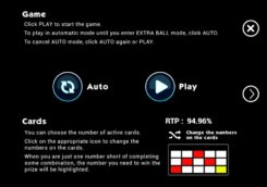 Bingo 3000 Slot Rules