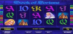 Book of Fortune Slot Game Reels