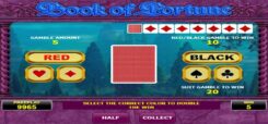 Book of Fortune Slot Game Won Win