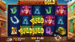 Bounty Gold slot Game Win Wild