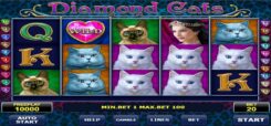 Diamond Cats slot game Reels