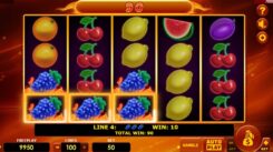 Hot Fruits 100 Slot Game Won