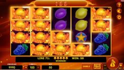 Hot Fruits 100 Slot Game Won Win