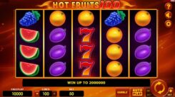 Hot Fruits 100 slot game reels