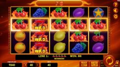 Hot Fruits 40 Slot Game Win