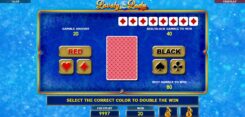 Lovely Lady X-Mas Slot Game Gamble