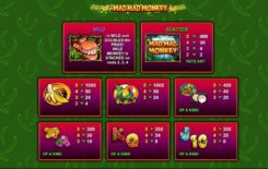 Mad Mad Monkey Slot Game Paytable