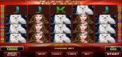 Magic Owl Slot Game Reels