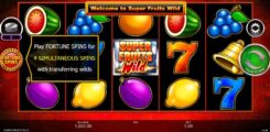 Super Fruits Wild Game Slot Reels