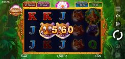 Tiger Jungle Hold and Win Slot Game
