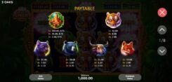 Tiger Jungle Hold and Win Slot Game Symbols