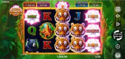 Tiger Jungle Hold and Win slot game reels