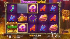 Treasure Wild Slot Game Won