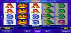 Tweety Birds slot Game Win