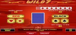 Wild 7 Slot Game Gamble
