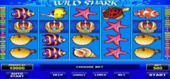 Wild Shark Slot Game Reel