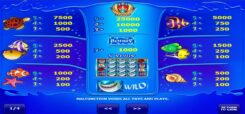 Wild Shark Slot Game Symbols