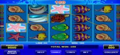 Wild Shark Slot Game Win