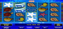 Wild Shark Slot Game Won