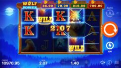Wolf Power Hold and Win slot Won