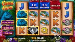 Congo Cash Slot game won